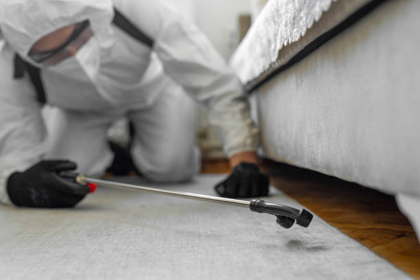 Professional Emergency Pest Control technician working in Hastings-on-Hudson, NY