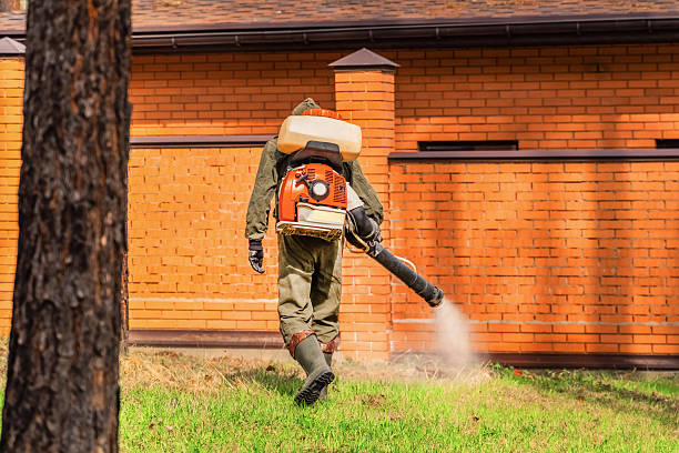 Trusted Bed Bug Control service in Hastings-on-Hudson, NY - Nex Pest Control